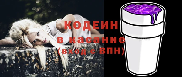 прущие грибы Куйбышев