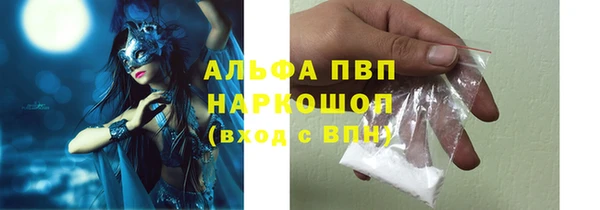 прущие грибы Куйбышев