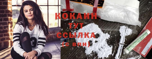 прущие грибы Куйбышев