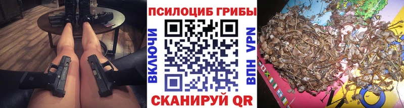 Купить где  Коряжма  Псилоцибиновые грибы Psilocybine cubensis 